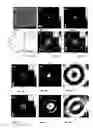 Fig. 05 - Plasmonic lens having a surface pattern providing linear-polarization-independent plasmonic focusing and circular polarization dependent plasmonic focusing