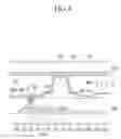 Fig. 07 - Liquid crystal display and method of manufacture thereof