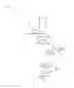 Fig. 07 - LIGHT SOURCE DEVICE AND PROJECTION-TYPE DISPLAY DEVICE