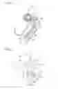 Fig. 03 - Fixing device including a blowing member for blowing air and image forming apparatus therewith