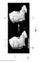 Fig. 07 - 3D IDENTIFICATION SYSTEM WITH FACIAL FORECAST