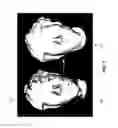 Fig. 08 - 3D IDENTIFICATION SYSTEM WITH FACIAL FORECAST