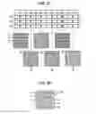 Fig. 19 - DISPLAY DEVICE, METHOD FOR DRIVING DISPLAY DEVICE, AND ELECTRONIC APPARATUS