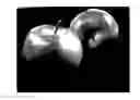 Fig. 01 - Apple tree named 'PremA34'