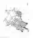 Fig. 02 - Harvester and processor for peanuts