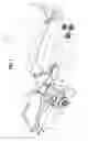 Fig. 02 - Lawn sweeper