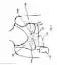 Fig. 02 - WEARABLE MICROWAVE RADIOMETER
