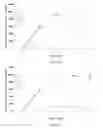 Fig. 08 - METHODS AND COMPOSITIONS FOR TRANSDERMAL DELIVERY OF CAFFEINE IN THE FORM OF SOLUTIONS OR SUSPENSIONS