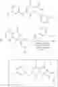 Fig. 127 - MNK inhibitors and methods related thereto