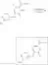 Fig. 264 - MNK inhibitors and methods related thereto