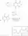 Fig. 84 - MNK inhibitors and methods related thereto