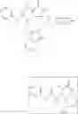 Fig. 91 - MNK inhibitors and methods related thereto