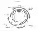 Fig. 02 - Nucleic acid molecule encoding hepatitis B virus core protein and vaccine comprising the same