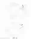Fig. 20 - Easy open carton