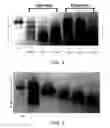 Fig. 09 - METHOD FOR PREPARING SINGLE-VALENT, MODIFIED AVIDIN-LIKE MOLECULES AND MODIFIED FUNCTIONAL CONJUGATES