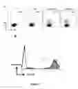 Fig. 09 - Isoform of the TGF-beta receptor II