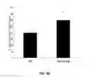 Fig. 06 - TUMOR SPECIFIC ANTIBODIES AND USES THEREFOR