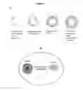 Fig. 02 - Multilayered nanoparticle and methods of manufacturing and using the same