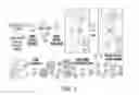 Fig. 02 - Method and compositions for detection and enumeration of genetic variations
