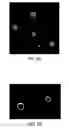 Fig. 07 - Method and compositions for detection and enumeration of genetic variations