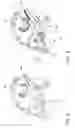 Fig. 04 - Rotary fluid regulator