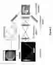 Fig. 09 - Wavelength dispersive microscope spectrofluorometer for characterizing multiple particles simultaneously