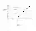 Fig. 07 - Detection method for detecting blood glucose and hemoglobin of blood sample