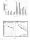 Fig. 08 - Methods for the diagnosis and risk assessment of plasmalogen deficiency mediated diseases of aging