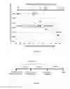 Fig. 09 - Methods for the diagnosis and risk assessment of plasmalogen deficiency mediated diseases of aging