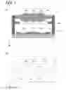 Fig. 02 - Light receiving/emitting element module and sensor device using same