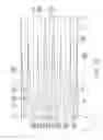 Fig. 34 - Illumination device and display device