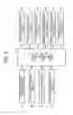 Fig. 06 - Image forming apparatus including charge removing needle and light irradiator
