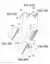 Fig. 19 - Wearable propping display apparatus improvements