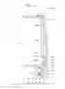 Fig. 35 - Rollable display device