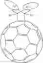 Fig. 52 - Polymer/fullerene formations and their use in electronic/photonic devices