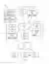 Fig. 06 - Data protection in a networked computing environment