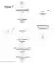 Fig. 08 - Associated device discovery in IMS networks