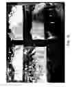 Fig. 19 - Method and apparatus for improving efficiency and reliability of stillage processing