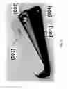 Fig. 03 - Smoking apparatus: flat smoking pipe