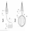 Fig. 06 - Apparatus for treating a heart valve