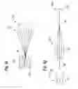 Fig. 09 - Apparatus for treating a heart valve