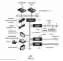 Fig. 07 - Interrupting the life cycle of sperm