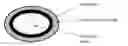 Fig. 01 - Multiple unit dosage form having a therapeutic agent in combination with a nutritional supplement