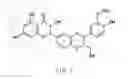 Fig. 02 - SILIBININ NANOPARTICLE AND A METHOD OF TREATING HEPATITIS C THEREOF