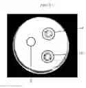 Fig. 09 - Megalin antagonist