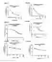 Fig. 06 - COMPOSITIONS AND METHODS FOR TREATING SARCOMA