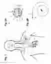 Fig. 02 - IMPLANTABLE NEUROSTIMULATOR-IMPLEMENTED METHOD FOR ENHANCING HEART FAILURE PATIENT AWAKENING THROUGH VAGUS NERVE STIMULATION