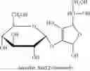 Fig. 06 - Process for Stimulating Hyaluronic Acid Production with Ascorbic Acid Derivatives and the Composition Thereof