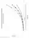 Fig. 10 - Low-deflection roller shade tube for large openings