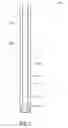 Fig. 03 - Constant velocity joint apparatus, systems, and methods